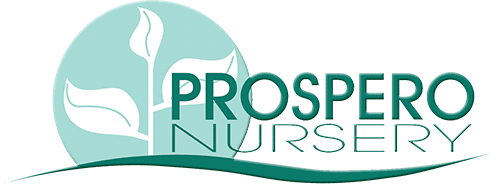 Prospero Nursery